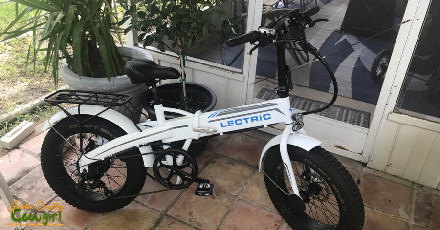 Electric bike
