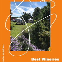Best-Wineries-in-Fredericksburg,-TX V2