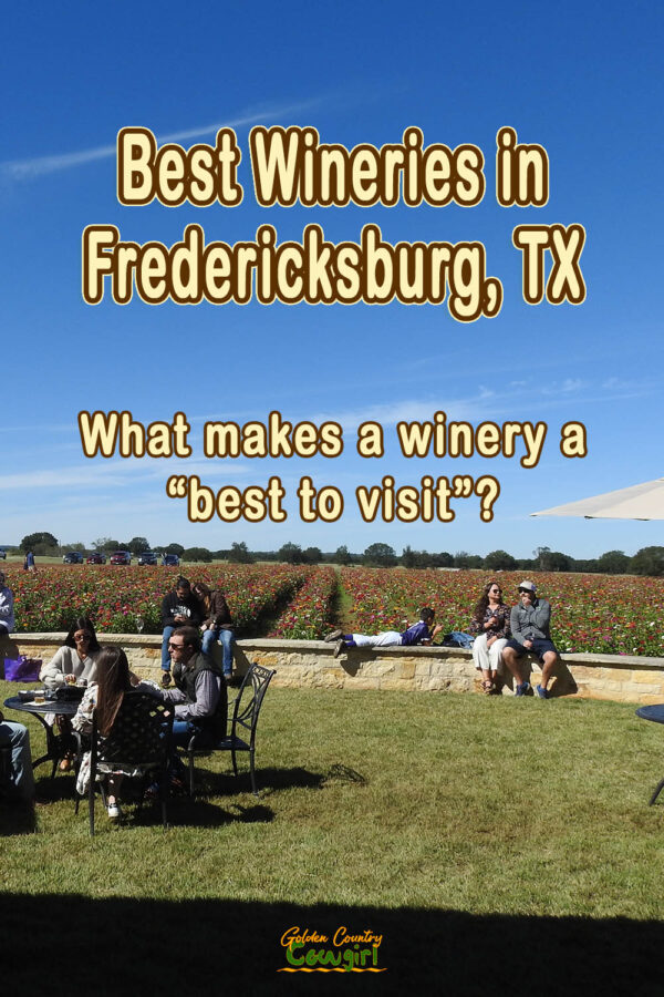 people sitting on lawn in front of flower field with text overlay: Best wineries in Fredericksburg, TX What makes a winery a "best to visit"?
