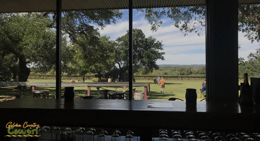 view from inside the tasting room at William Chris Vineyards, one of Fredericksburg's best wineries