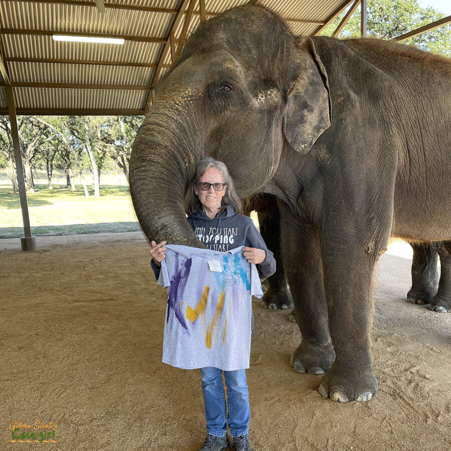 woman with elephant and painted t-shirt