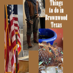 Brownwood title v2