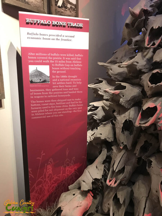 buffalo bone trade display at Frontier Texas