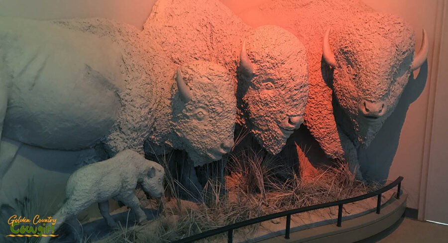 large buffalo family sculpture