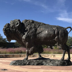 Buffalo sculpture at Fronteir Texas