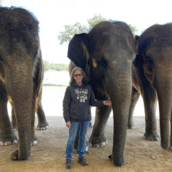 Me with three elephants