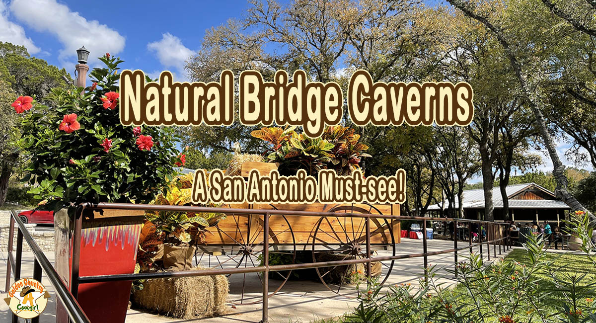 outdoor display of flowers on a wagon with text overlay: Natural Bridge Caverns A Sam Amtonio Must-see!