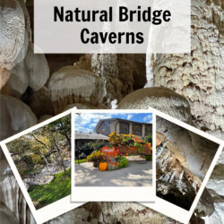Natural-Bridge-Caverns 2