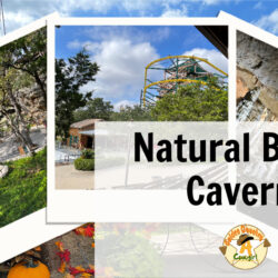 Natural-Bridge-Caverns h1