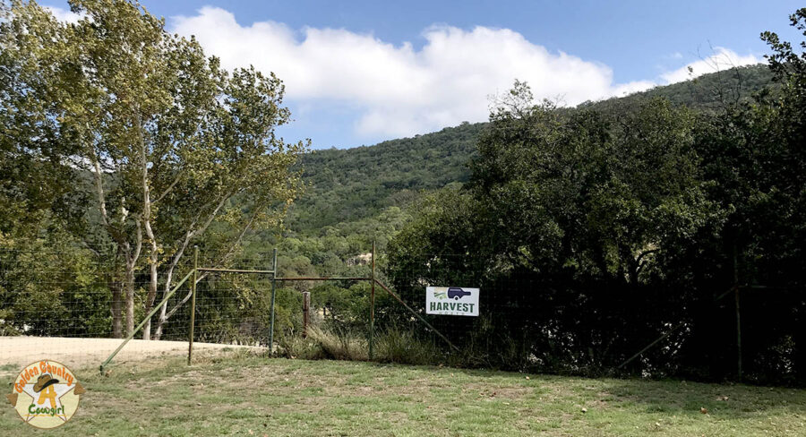 parking area with Harvest Hosts sign at Lost Maples Winery