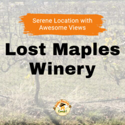 Lost Maples Winery - A Winery in Transition