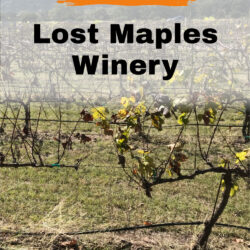 Lost-Maples-Winery Pin2