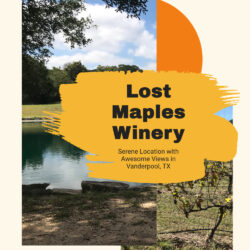 Lost-Maples-Winery Pin3