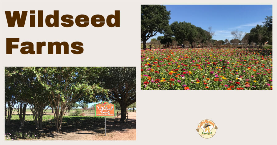 Photos of wildflower field and trees with sign. Text overlay: Wildseen Farms