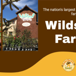 Wildseed-Farms H2