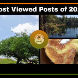 Most-Viewed-Posts-of-2021 H2