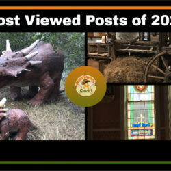 Most-Viewed-Posts-of-2021 H3