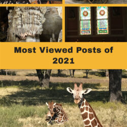 Most-Viewed-Posts-of-2021 V4