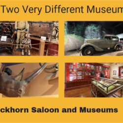 Buckhorn-Saloon-and-Museums H2