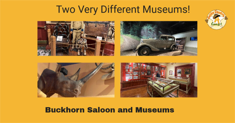 photos from Buckhorn Saloon with text overlay: Two very different museums! Buckhorn Saloon and Museums