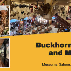 Buckhorn-Saloon-and-Museums H4