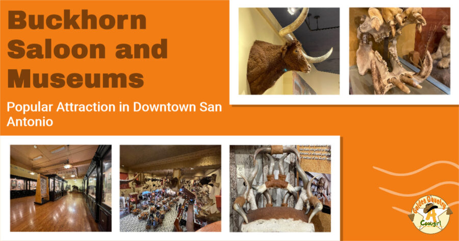 Photos from Buckhorn Saloon with text overlay: Buckhorn Saloon and Museums Popular Attraction in Downtown San Antonio
