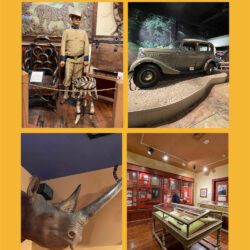 Buckhorn-Saloon-and-Museums V4