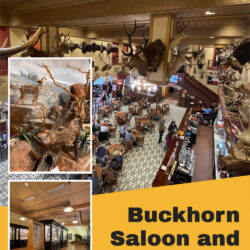Buckhorn-Saloon-and-Museums V6