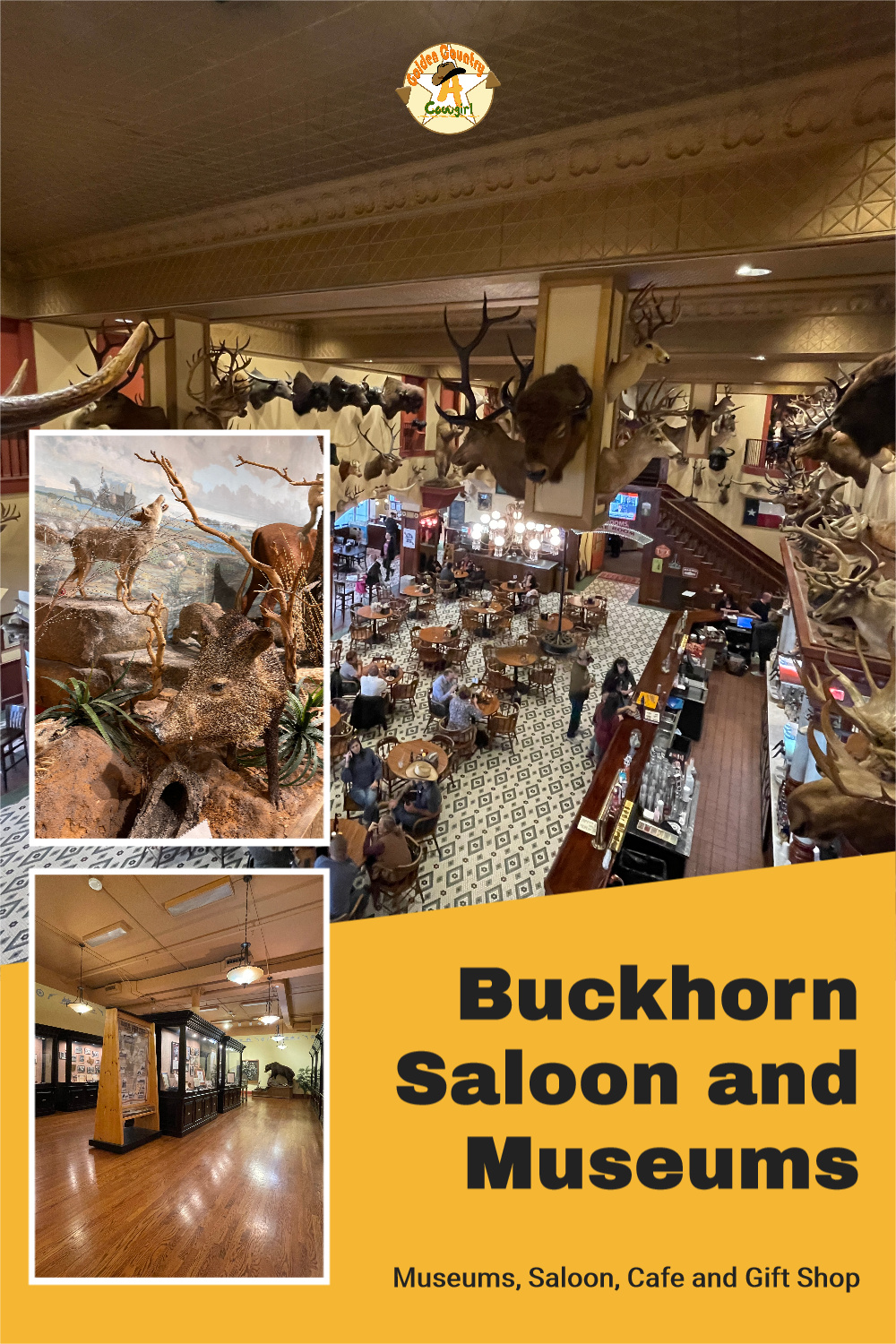 Buckhorn Saloon and Museums - Not What I was Expecting!