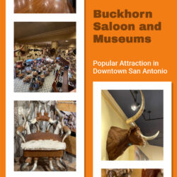 Buckhorn-Saloon-and-Museums V7