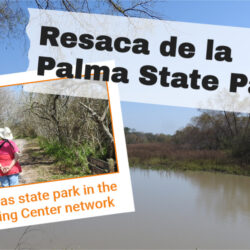 Resaca de la Palma State Park