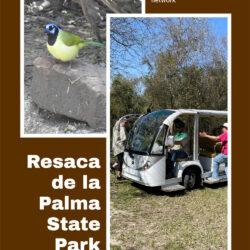 Resaca-de-la-Palma-State-Park V5