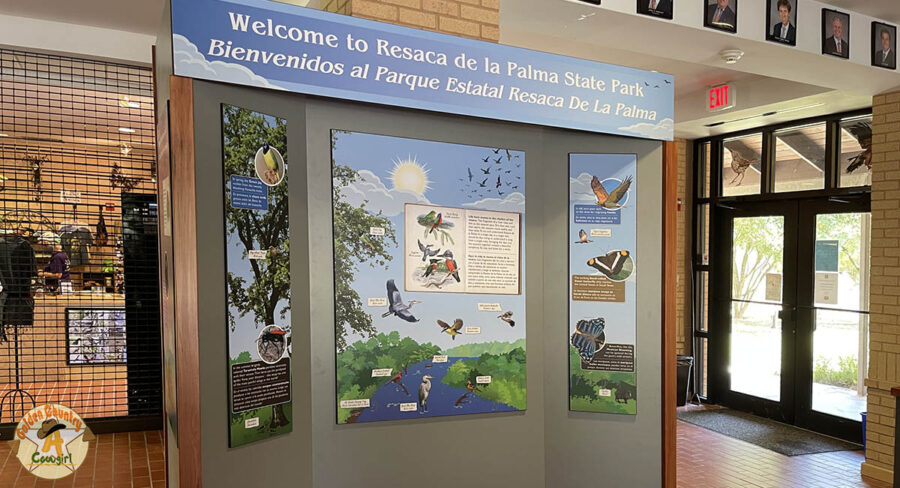 Resaca de la Palma visitor center display