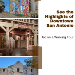See-the-Highlights-of-Downtown-San-Antonio 4