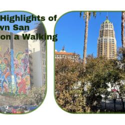See-the-Highlights-of-Downtown-San-Antonio-on-a-Walking-Tour 3