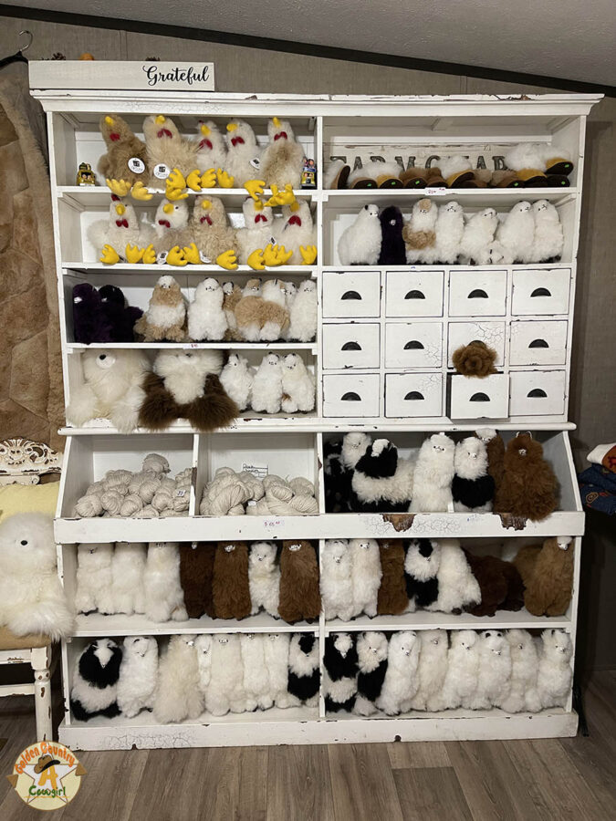 fun stuffies in the gift shop at the alpaca ranch in the Rio Grande Valley