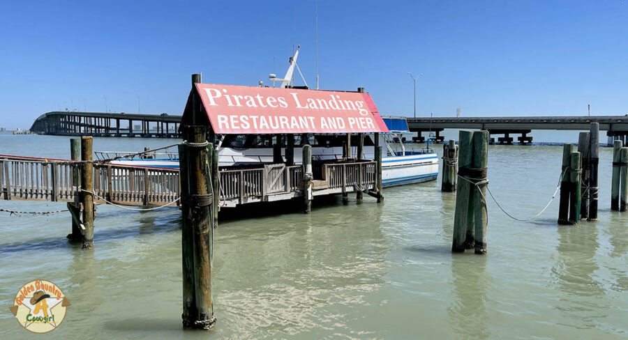 Osprey at the dock in Port Isabel