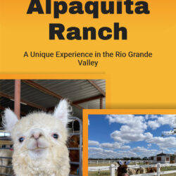 P2 Alpaquita-Ranch 1