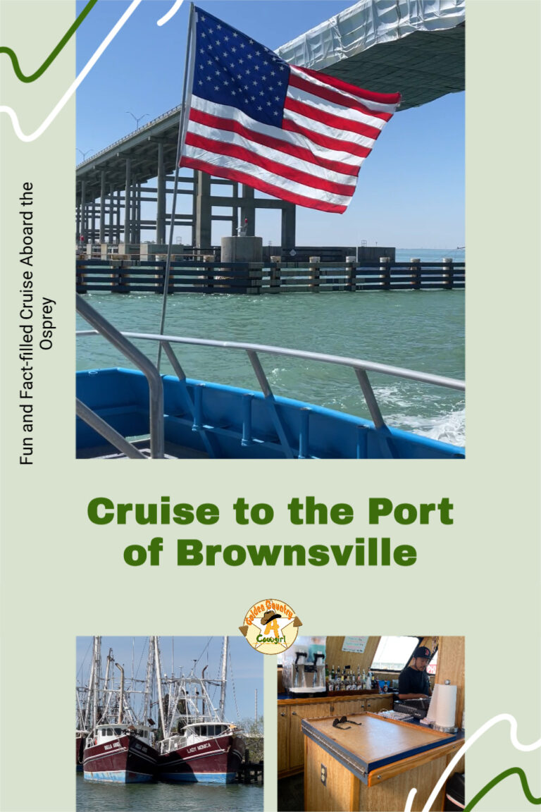 brownsville cruise