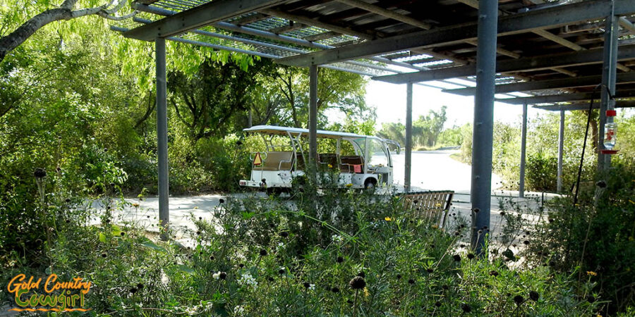 tram at Bentsen-Rio Grande Valley State Park - World Birding Center headquarters