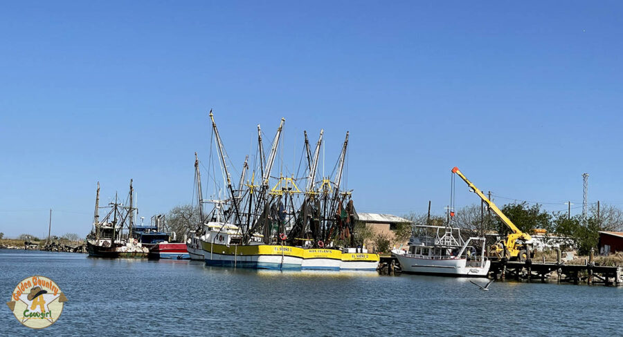 Port of Brownsville Shrimp Basin