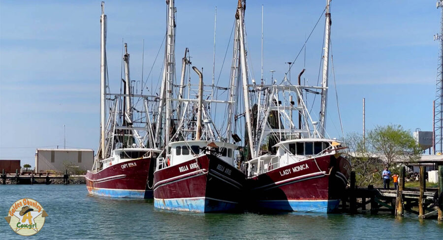 shrimp boats in Port of Brownsville shrimp basin