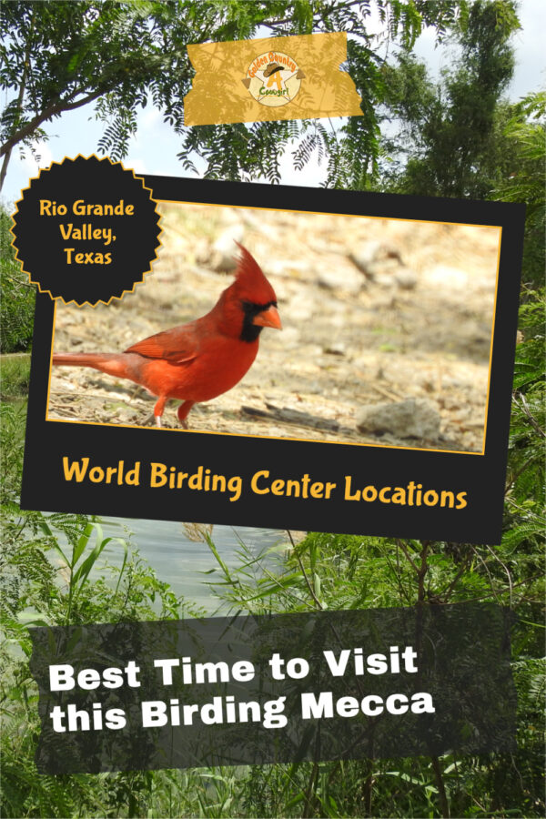 Photo of a cardinal with text overlay: Rio Grande Valley, Texas World Birding Center Locations Best Time to Visit this Birding Mecca