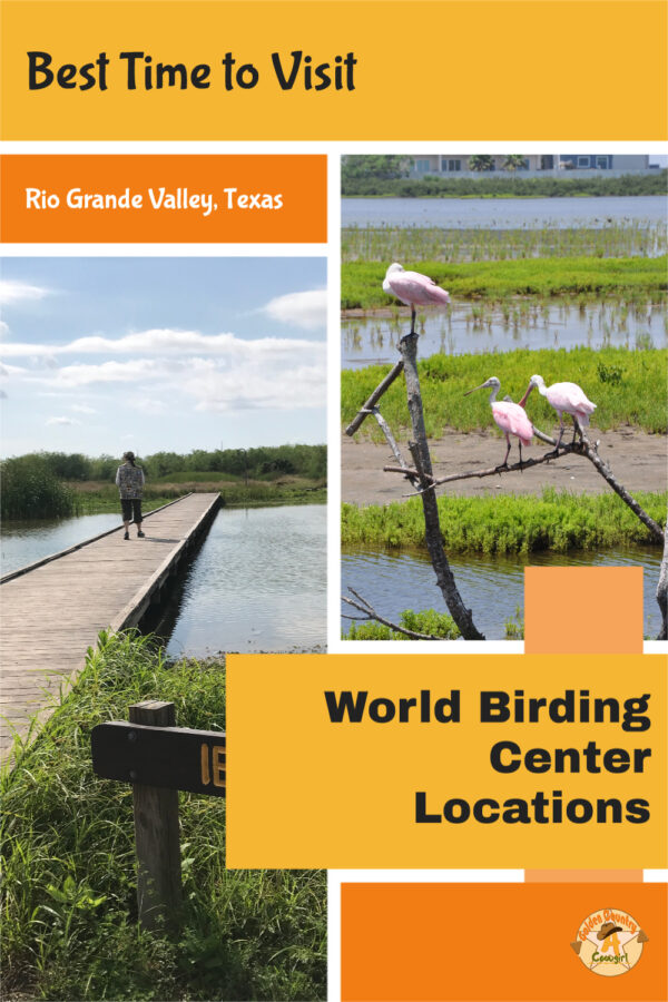 two nature photos with text overlay: Best Time to Visit Rio Grande Valley, Texas World Birding Center Locations