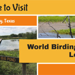 World-Birding-Center-Locations 3