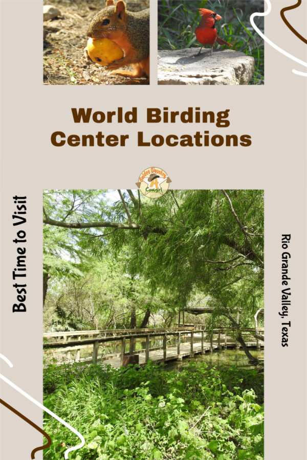 photo of squirrel, cardinal and bridge with text overlay: World Birding Center Locations Best Time to Visit Rio Grande Valley, Texas
