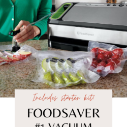 FoodSaver automatic food sealing system