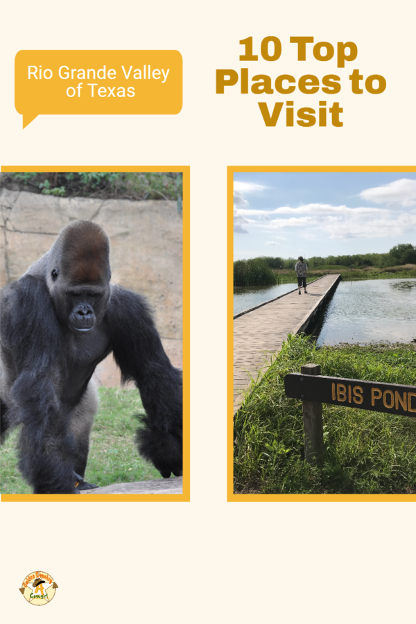 photo of a gorilla and a bridge over a lake. Text overlay says "Rio Grande Valle of Texas and 10 Top Places to Visit."