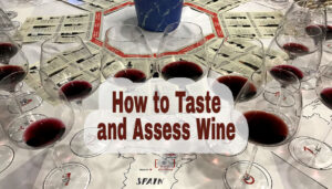 lots of glasses with sample amounts of red wine in each. text overlay says "How to Taste and Assess Wine"