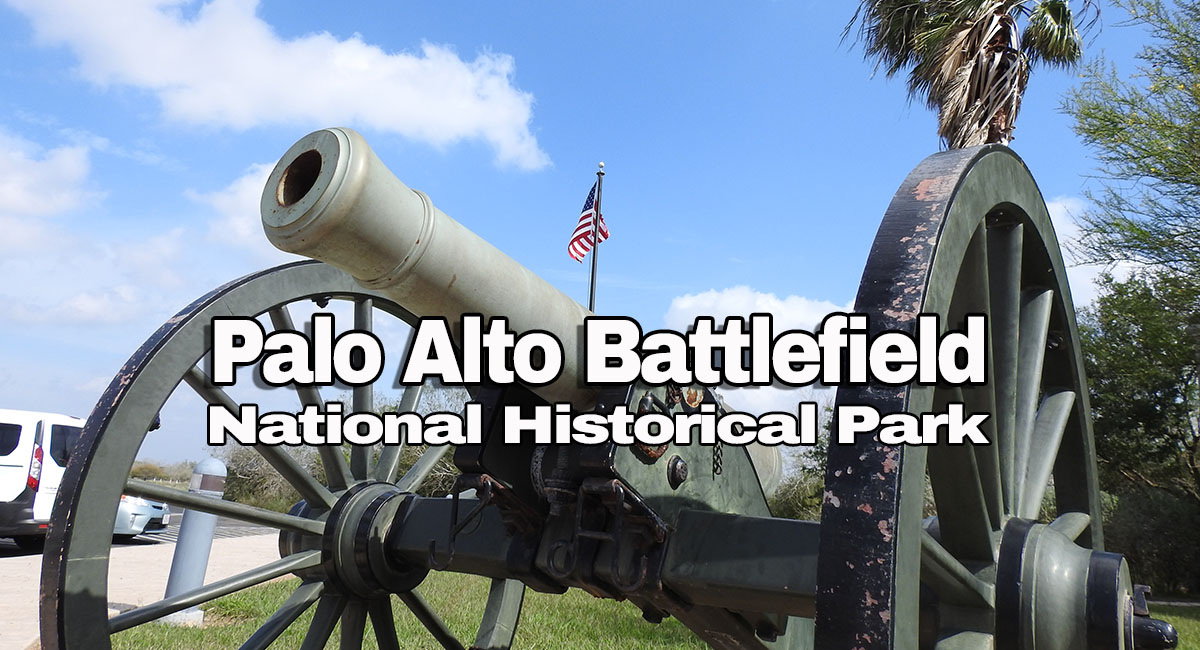 Cannon at Palo Alto Battlefield National Historical Park